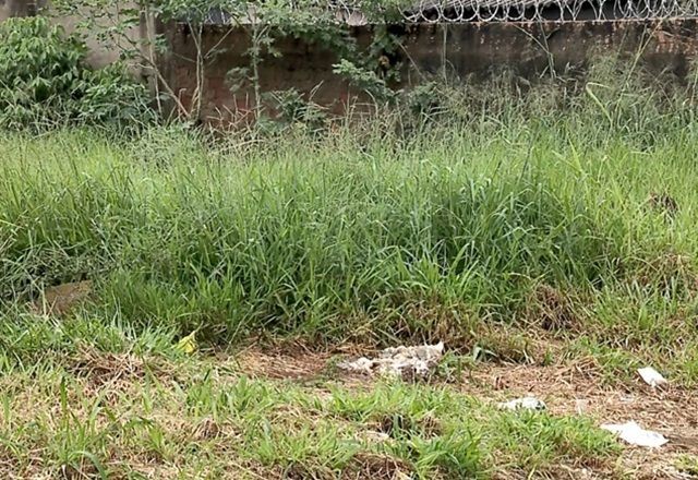 Imagem da noticia Recém-nascido é encontrado abandonado em terreno baldio