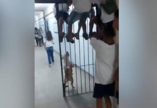 Imagem da noticia Pitbull invade escola no Rio e ataca crianças; um aluno foi hospitalizado