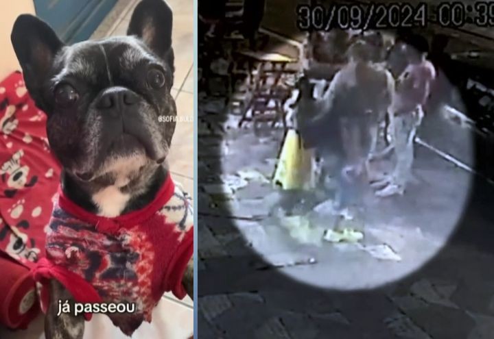 Imagem da noticia Cadela desaparece e tutor crê que foi dopado em bar de São Paulo