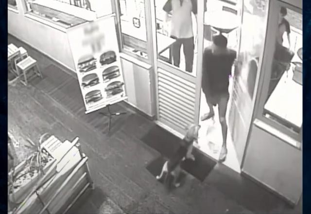Imagem da noticia Vira-lata caramelo ajuda polícia a prender suspeito de assaltos
