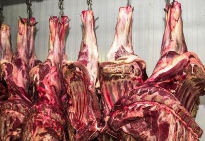 Singapura anuncia abertura de mercado para extrato de carne bovina brasileira
