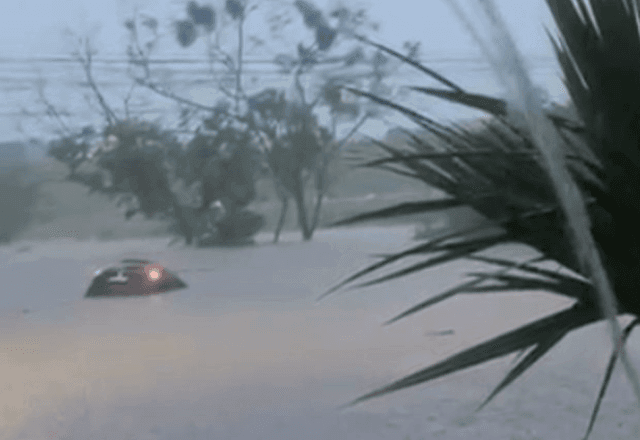 Imagem da noticia Jovem morre afogada após ter carro arrastado por enxurrada em Hortolândia (SP)