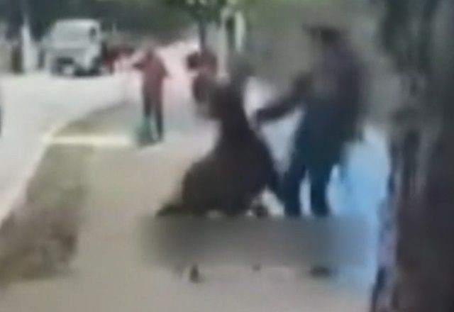 Imagem da noticia Cavalo dá coice e morde pedestres em São Paulo