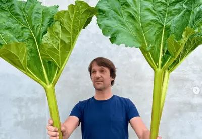 Chef Rene Redzepi se afasta de restaurante famoso após acusações de abuso por ex-funcionários Chef Rene Redzepi se afasta de restaurante famoso após acusações de abuso por ex-funcionários