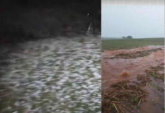 Chuvas prejudicam lavouras do Paraná