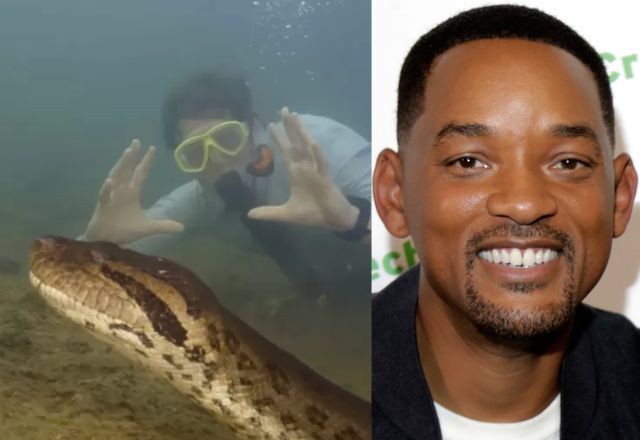 Imagem da noticia Anaconda: pesquisadores encontram nova espécie de sucuri-verde gigante