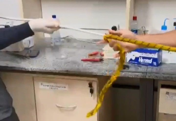 Imagem da noticia Cocaína é encontrada em corda levada por estrangeiro em aeroporto