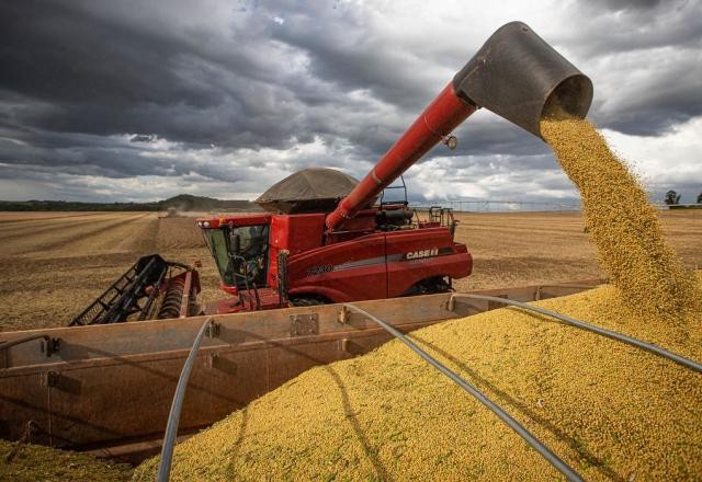 Imagem da noticia Mato Grosso prevê quebra de 21% na safra de soja em 2024