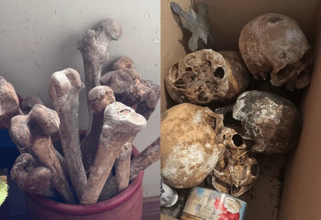 Imagem da noticia Crânios e outros ossos humanos são encontrados em apartamento de SP