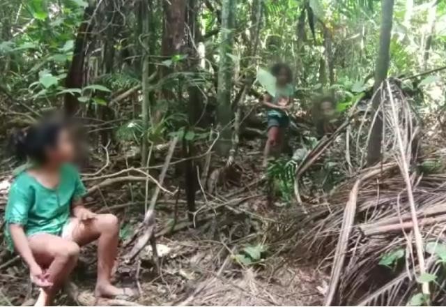 Imagem da noticia PM localiza avó e netas perdidas por 8 dias em mata de Goianápolis (GO)