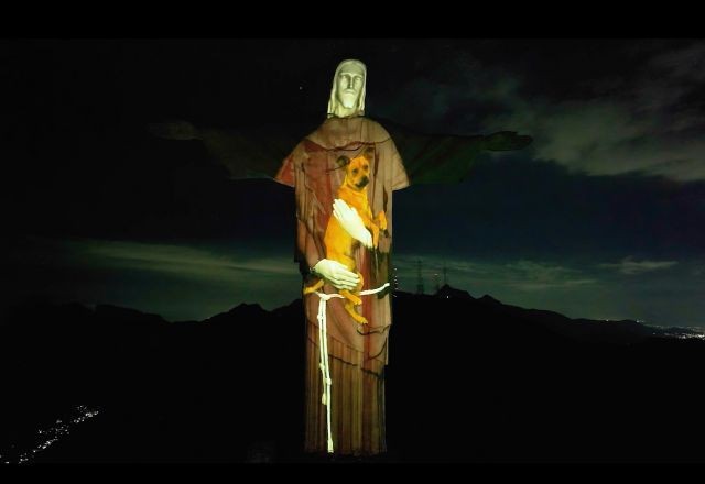Imagem da noticia Cristo Redentor "abraça" causa animal em projeção inédita no Dia Mundial dos Animais de Rua