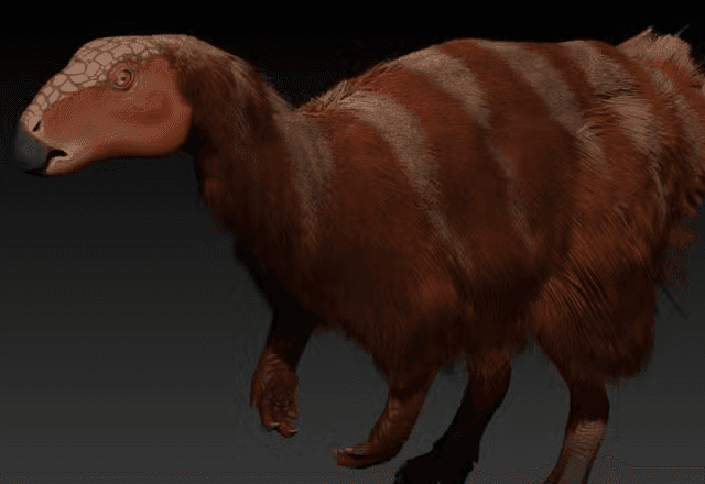 Imagem da noticia Nova espécie de dinossauro identificada homenageia Tieta do Agreste