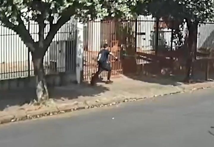 Imagem da noticia SP: Duplo homicídio pode ter revelado esquema ilegal de venda de armas