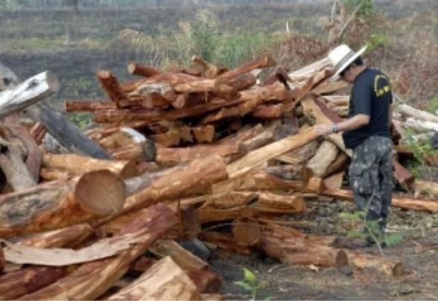 Imagem da noticia Operação combate corrupção no IBAMA e Ministério do Meio Ambiente