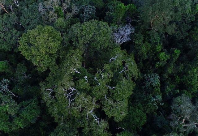 Imagem da noticia Helicóptero com três pessoas desaparece na Floresta Amazônica