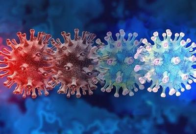 OMS se reúne para discutir nova variante da covid localizada na África OMS se reúne para discutir nova variante da covid localizada na África