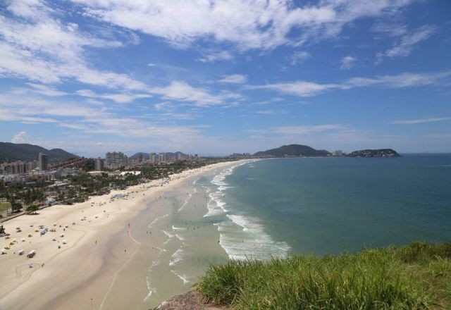 Imagem da noticia Vigilância sanitária do Guarujá acredita que virose no litoral paulista foi controlada