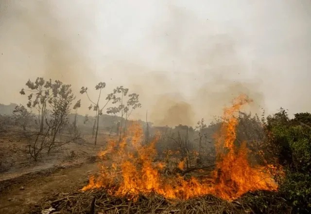 Imagem da noticia Mais de mil cidades brasileiras sofrem com seca severa e risco constante de queimadas