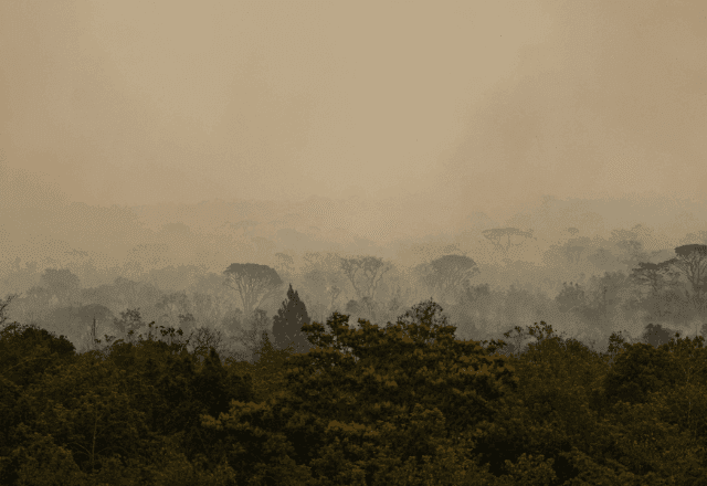 Imagem da noticia Parque Nacional de Brasília: "fogo está controlado” e Polícia Federal lista suspeitos de incêndio criminoso