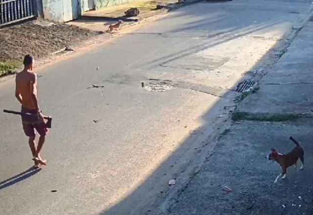 Imagem da noticia Irmão persegue irmã com machado durante briga de família