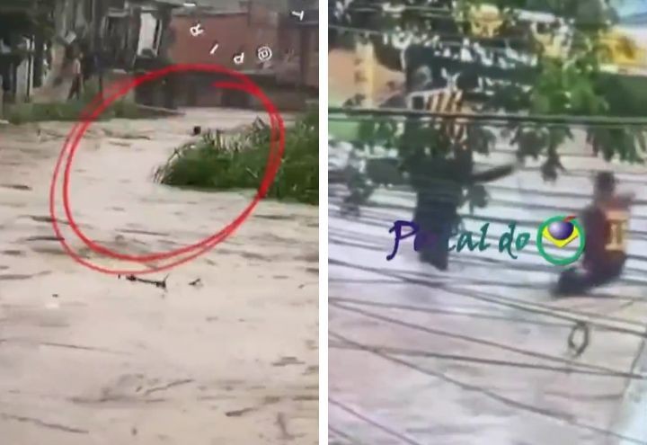 Imagem da noticia Corpo de homem é encontrado após alagamento em São Paulo