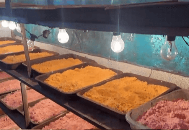 Imagem da noticia Homem é preso em laboratório de drogas sintéticas no Guarujá, litoral de São Paulo