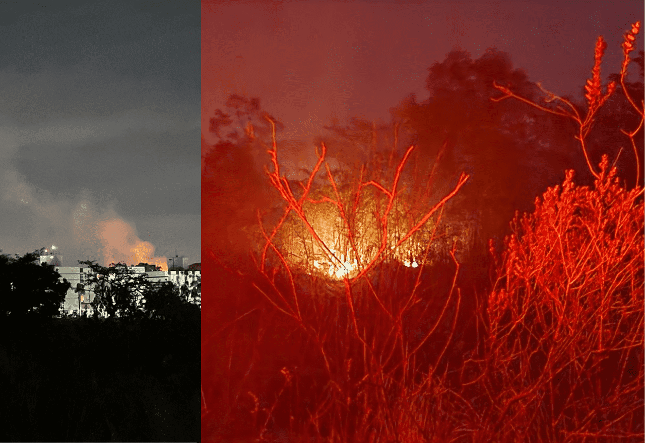 Imagem da noticia Operações de combate ao incêndio no Parque Nacional de Brasília continuam nesta segunda