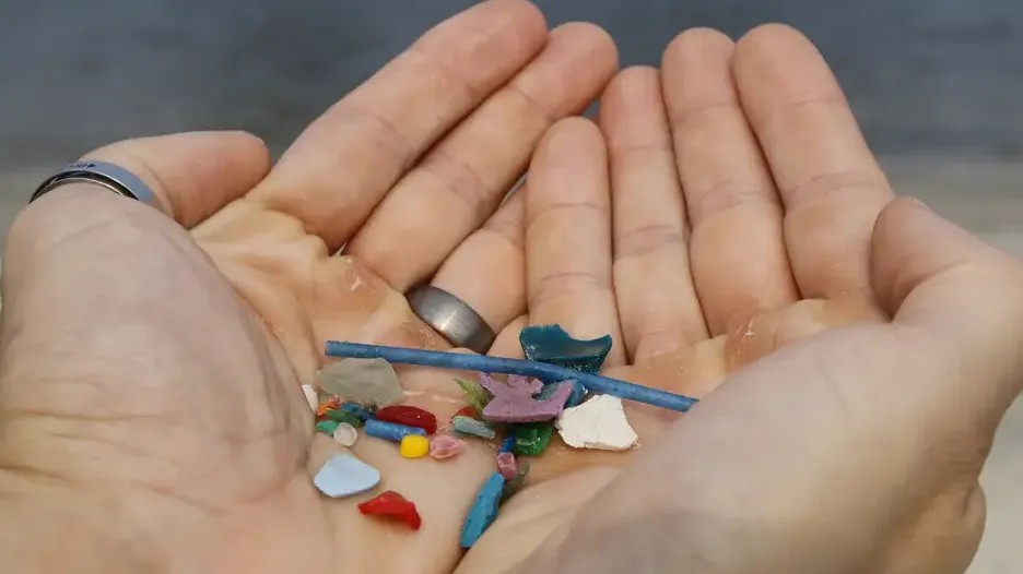 Imagem da noticia Cientistas encontram presença de microplásticos em testículos humanos