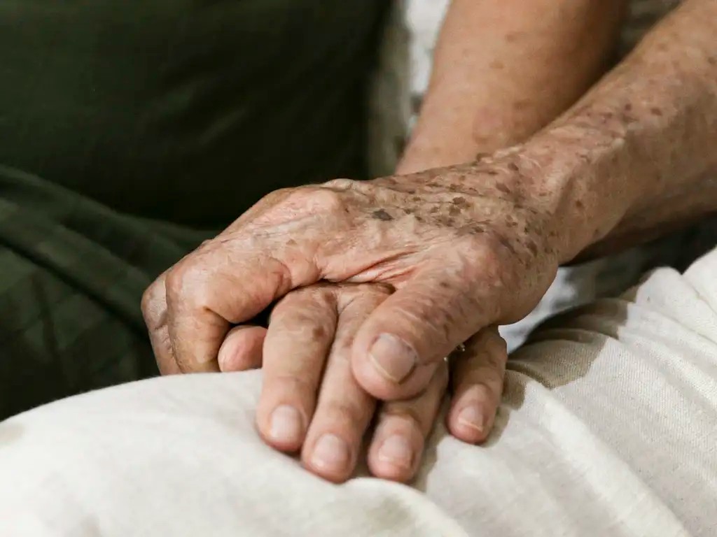 Imagem da noticia Dia Mundial do Alzheimer: 80% não conhecem sintomas iniciais