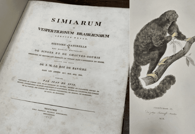 Imagem da noticia PF recupera em Londres livro de 1823 furtado de museu no Pará