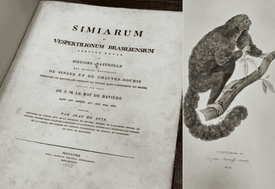 PF recupera em Londres livro de 1823 furtado de museu no Pará