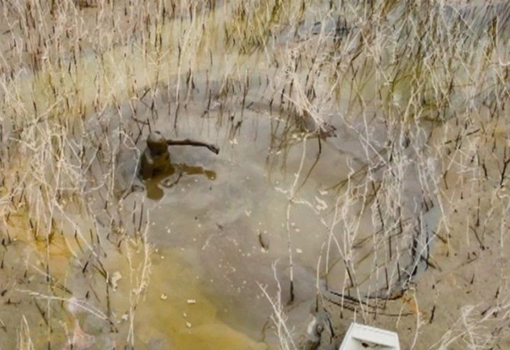 Imagem da noticia Pescador passa 3 dias atolado em buraco após seca de rio no Amazonas