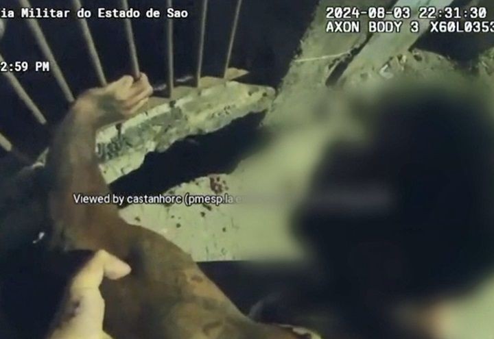 Imagem da noticia Policial mata suspeito rendido durante abordagem em Guarulhos (SP)