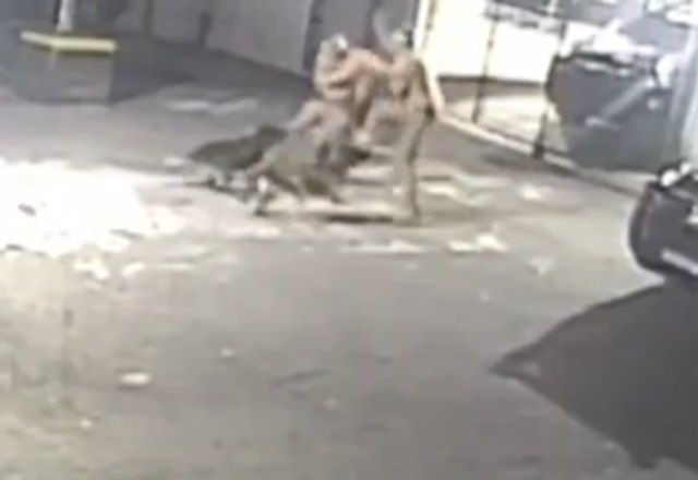 Imagem da noticia Policiais brigam dentro de base e são atacados por cachorros