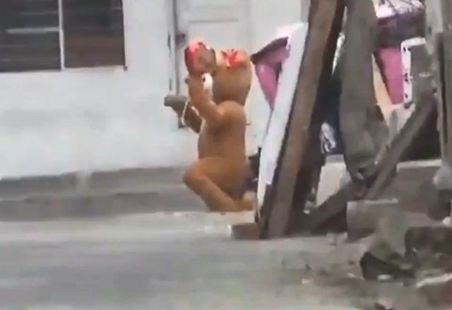 Imagem da noticia Policial fantasiado de ursinho prende mãe e filha traficantes