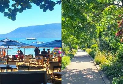 Outono ou primavera? Descubra qual roteiro escolher nessas estações do ano Outono ou primavera? Descubra qual roteiro escolher nessas estações do ano