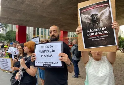 Cão Orelha: protesto em São Paulo cobra punição a responsáveis por morte Cão Orelha: protesto em São Paulo cobra punição a responsáveis por morte