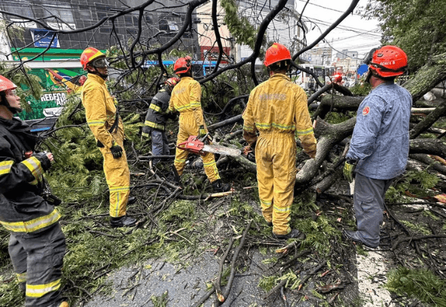 Imagem da noticia Queda de árvore mata mulher e deixa outra ferida em Guarulhos (SP)