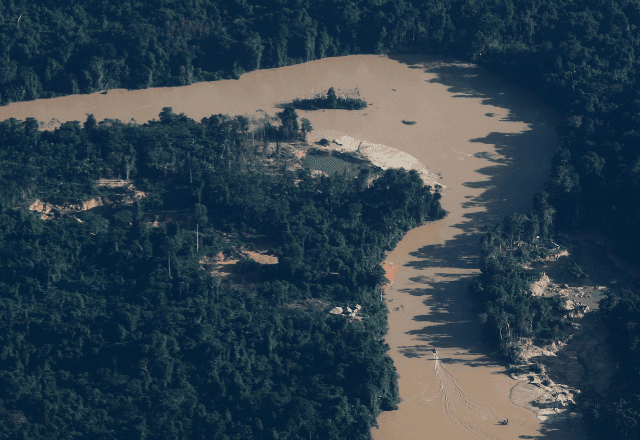 Imagem da noticia Dados demonstram redução de 75% nos alertas de garimpo na Terra Indígena Yanomami