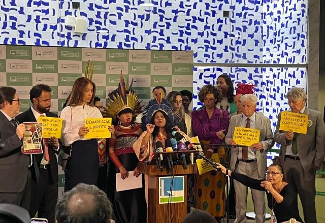 Imagem da noticia Sonia Guajajara pede adiamento de marco temporal na Câmara