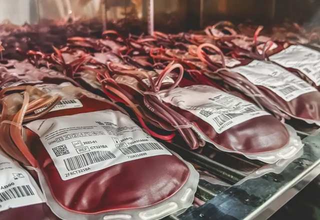 Imagem da noticia STF inicia julgamento sobre direito de testemunhas de Jeová de recusarem transfusão de sangue