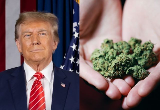 Imagem da noticia Trump assina medida que classifica maconha como droga "menos perigosa"