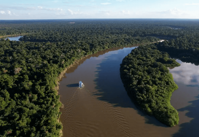 Holanda vai contribuir com fundo para proteger florestas