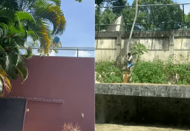 Gerson de Melo Machado, jovem de 19 anos, invade jaula de leoa no Parque Zoobotânico Arruda Câmara, em João Pessoa (PB) | Foto: Reprodução/SBT Brasil - 01.12.2025