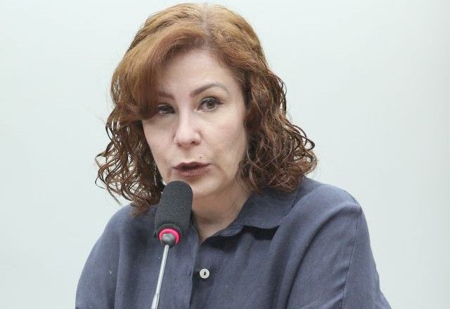 Carla Zambelli | Divulgação/Vinicius Loures Câmara dos Deputados