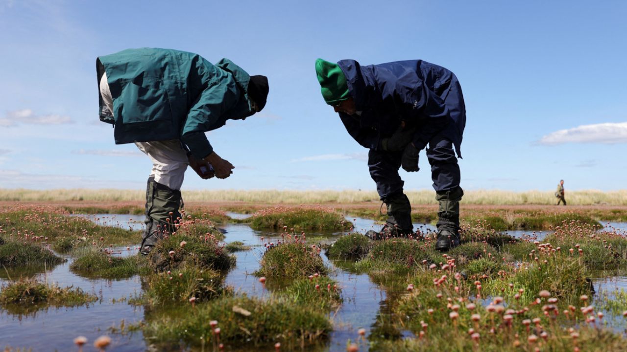 mundo está aquém da meta de restauração de ecossistemas — ONU