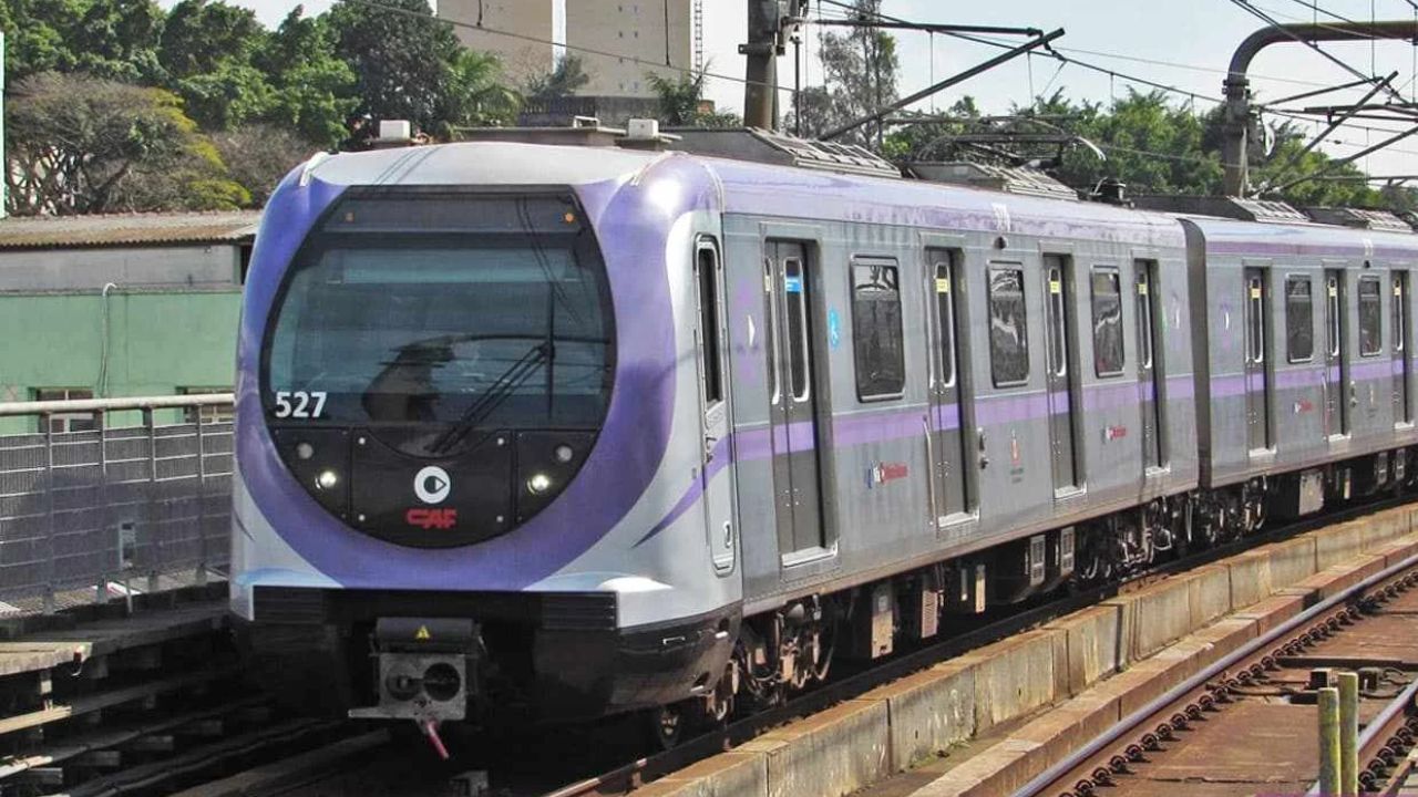 Suspeito de importunação sexual é detido no metrô