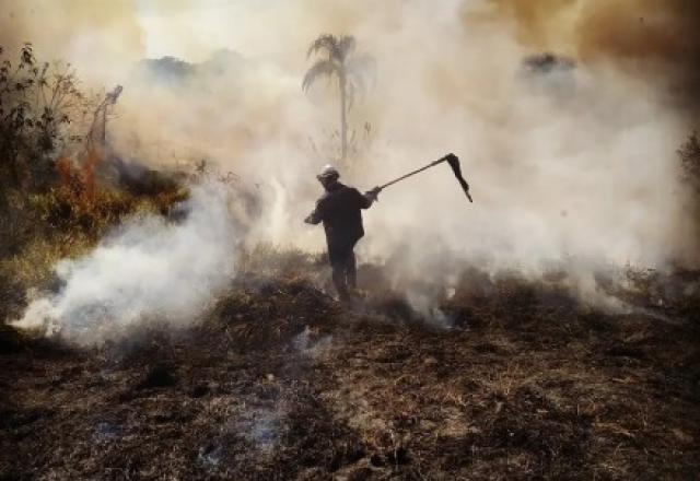 Incêndio atinge parque estadual do Juquery