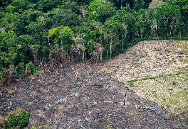 Área desmatada na Amazônia | Greenpeace