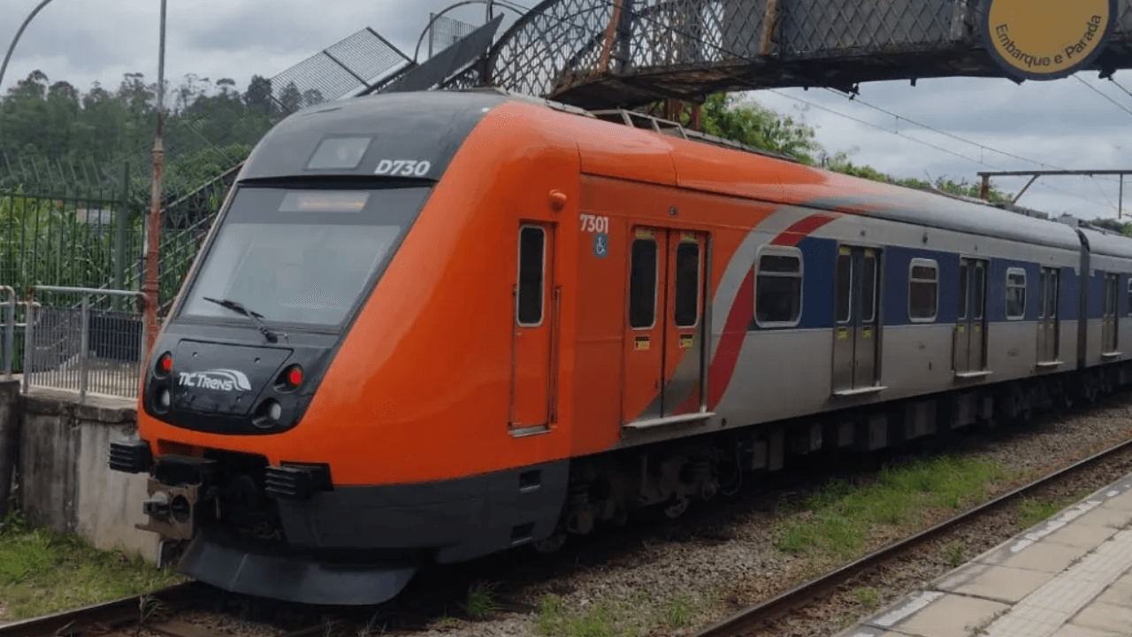 Queda de árvore prejudica circulação da Linha 7-Rubi em SP